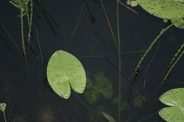 Zdjęcie20