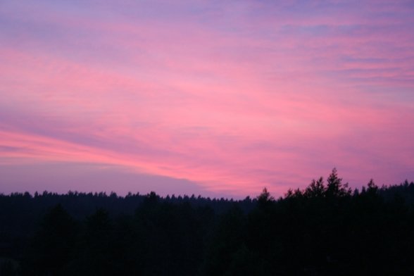 Zdjęcie24